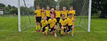 Image result for Buckland & Milber Football Club