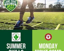 Image result for Lawn Netball Club