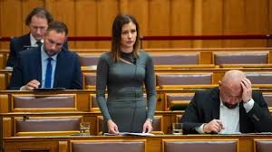 Image result for dúró dóra