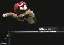 Image result for Thornton Sport Gymnastics