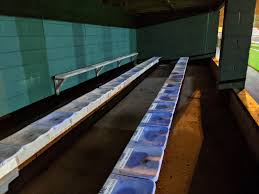 Image result for Kirby Muxloe Sports & Village Club