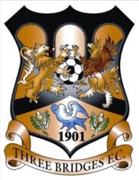 Image result for Three Bridges Cricket Club