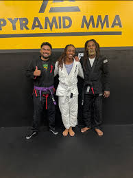 Image result for Pyramid martial arts