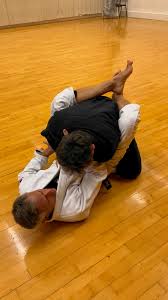 Image result for Central London Ninjutsu
