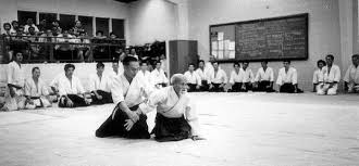 Image result for Fudokai Aikido Dojo