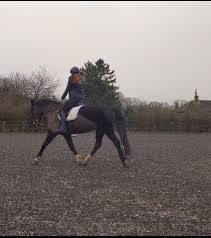 Image result for Cliff Hatch Stables