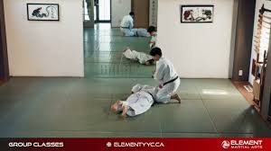 Image result for Full Element Mixed Martial Arts