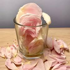 Image result for Rosengewächse