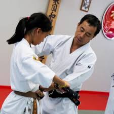 Image result for Burnley Wado Ryu Karate Club