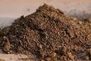 Hyper-Absorbant Peat Moss Could Clean Up Oil Spills Like ...