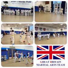 Image result for Great Britain Martial Arts Academy