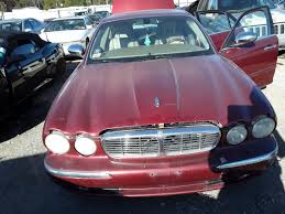 Image result for Radiance 2004 Jaguar