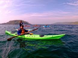 Image result for Tamar Canoe Association