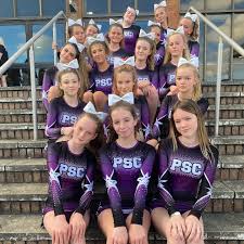 Image result for Phoenix Stars Cheerleaders