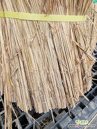 Image result for 붶