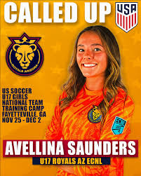 Image result for Phoenix Royals F C