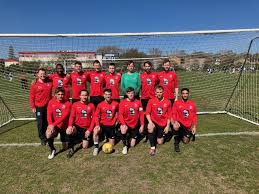 Image result for Old Wokingians Football Club