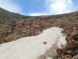 Attēlu rezultāti vaicājumam “Amara sp.”