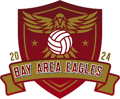 Image result for White Eagles Volleyball Club