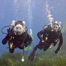 Image result for Luton British Sub Aqua Club