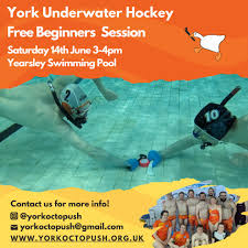 Image result for Halifax Octopush Club