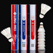 Image result for Lings Badminton Club