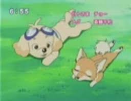 「リニア ワンワンセレプー それゆけ!徹之進」の画像検索結果