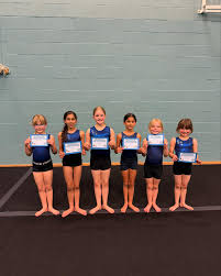 Image result for Weybridge Gymnastics