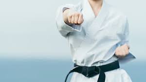 Image result for Uwe Karate Club