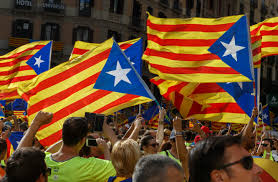 Image result for catalans universals