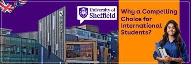 Image result for University Of Sheffield
