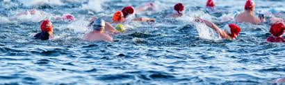 Image result for Serpentine Swimming Club