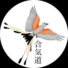 Image result for Durham City Aikikai