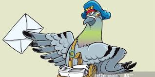 Image result for Hartlepool Divers Bsac Branch 0985