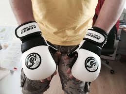 Image result for Kamon Wing Chun