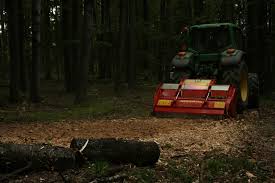 Image result for seppi tehron