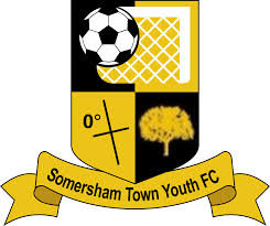 Image result for Haslemere Town Youth Football Club