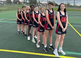 Image result for Thornhill Trojans Dolly Mixtures Netball Team
