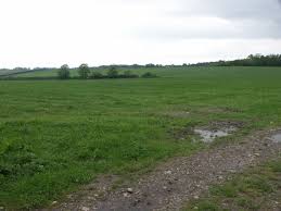 Image result for Barnt green