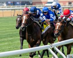 Image result for Derby Ac