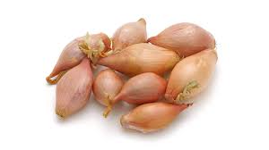 Image result for Zwiebeln