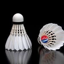 Image result for Feathers Badminton- Leatherhead