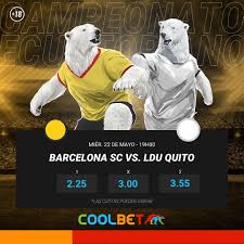 Image result for Deben Sc