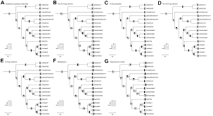 Attēlu rezultāti vaicājumam “Cetrelia sp.”