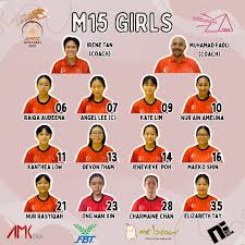 Image result for Liphook Tchoukball Club