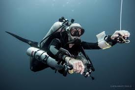 Image result for Headstream Divers