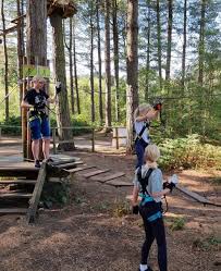 Image result for The Go Ape Experience (Delamere Forest)