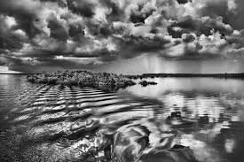 Image result for sebastiao salgado
