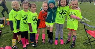 Image result for Sudbury Tchoukball Club