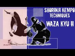 Image result for Winchester Shorinji Kempo Club